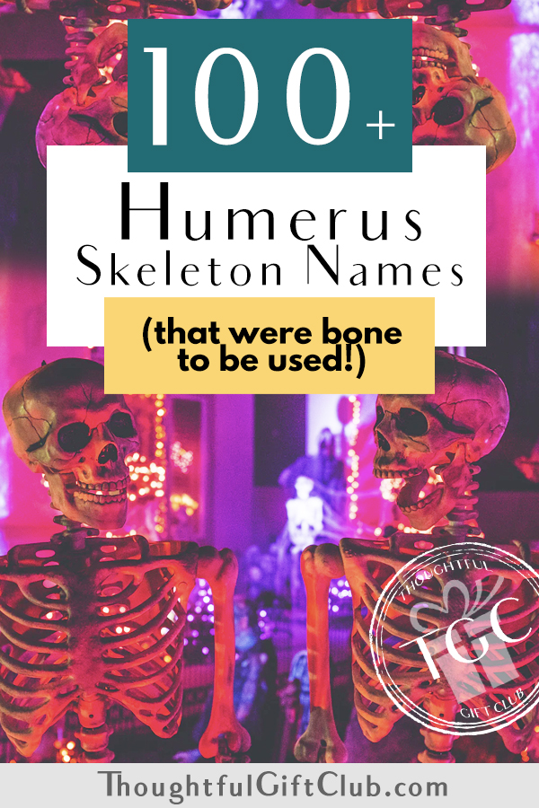 Best Skeleton Names [Cool And Funny Names]