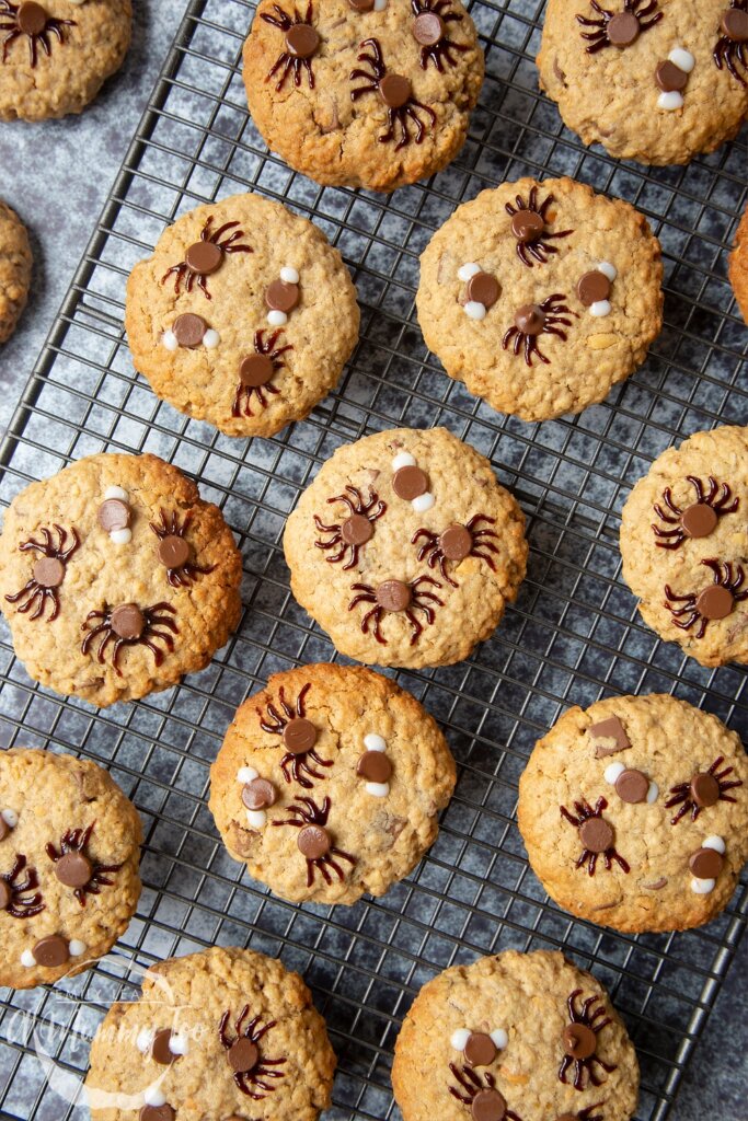 Halloween peanut butter spider cookies