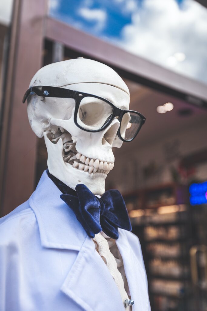 100+ Funny Skeleton Names: Humerus Skeleton Name Puns You'll Love!