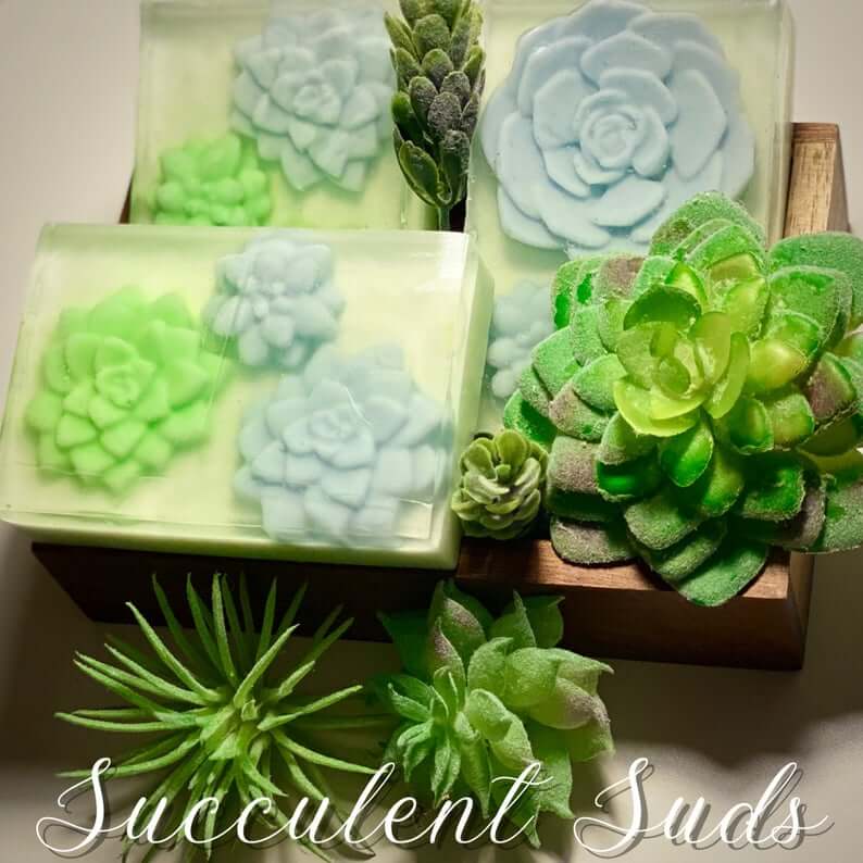 Succulent soap