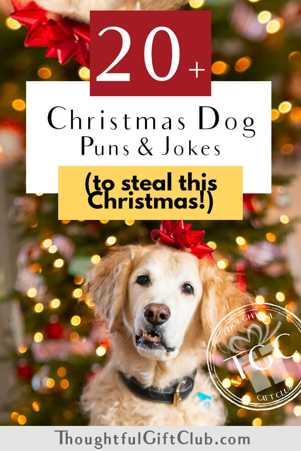 20+ Adorable Christmas Dog Puns (Perfect for Instagram Captions!)