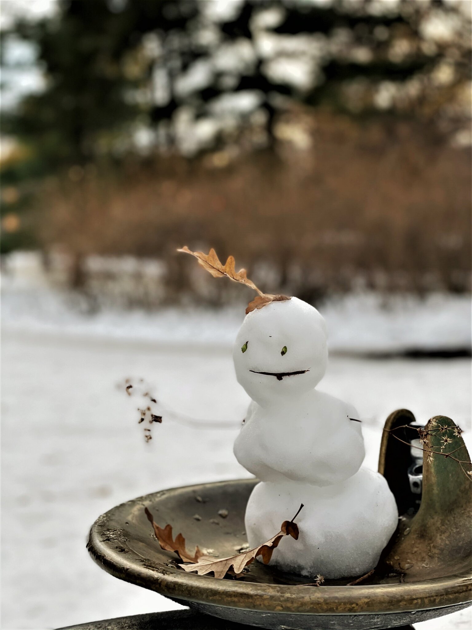 50+ Snowman Puns, Names &amp; Jokes for Instagram Captions