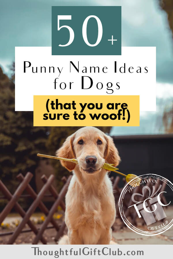 50 Dog Pun Names That We re Sure You ll Woof