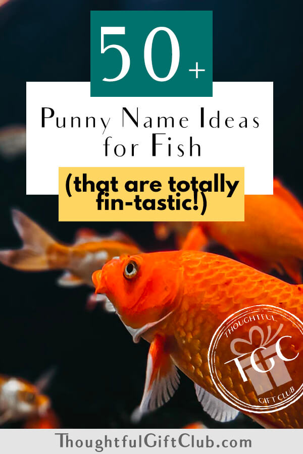 50+ Fish Name Pun Ideas That Are Simply Gill-iant (2023 Update)