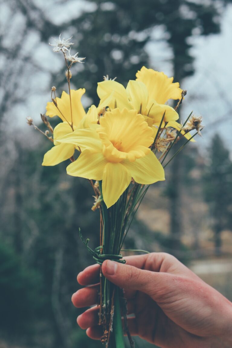50+ Flower Puns & Jokes for Instagram Captions that Are Totally Iris