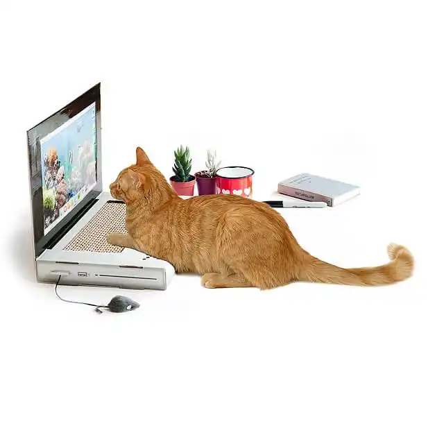 A Laptop Cat Scratching Pad