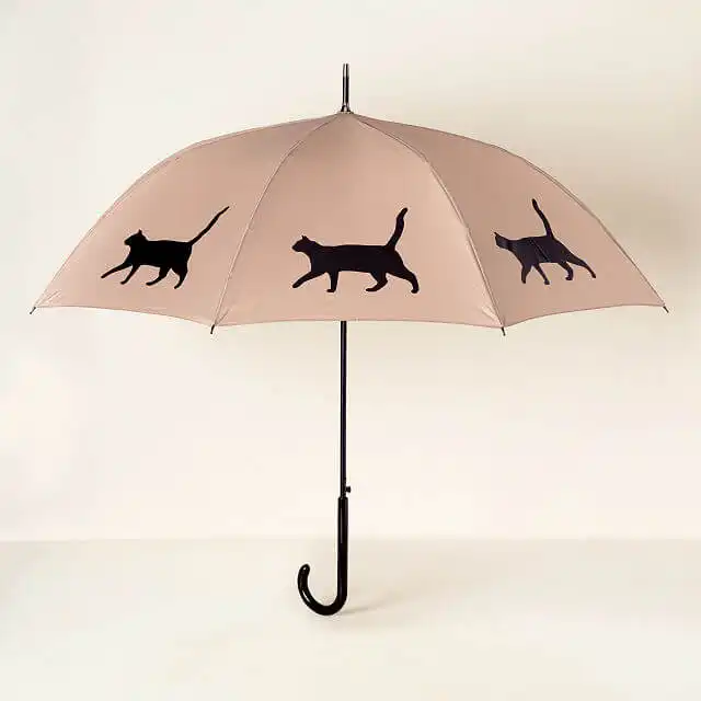 A Cute Kitty Umbrella