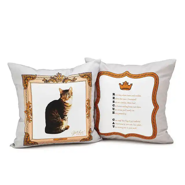 A Custom Rescue Cat Pillow