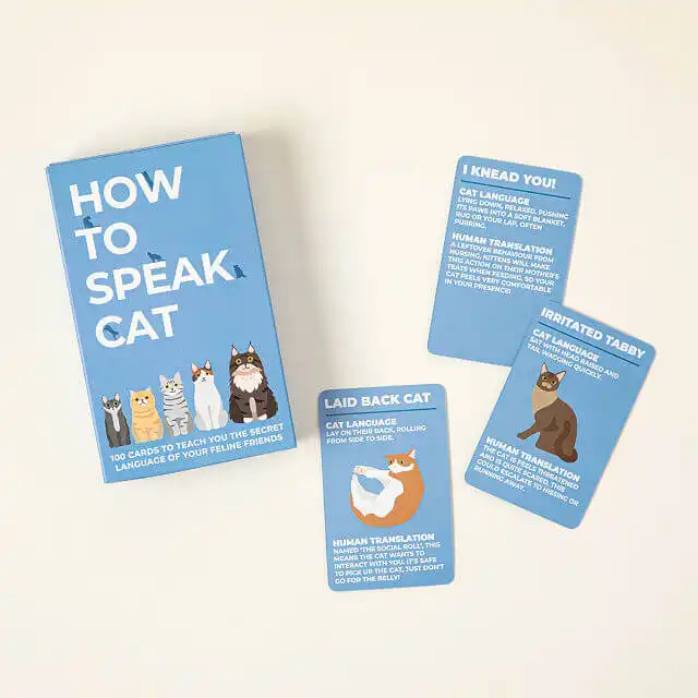 These Useful Cat Language Cards