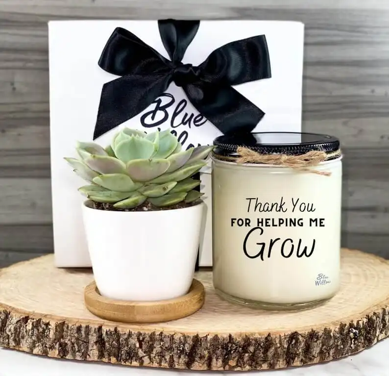 A Succulent and Candle Gift Set