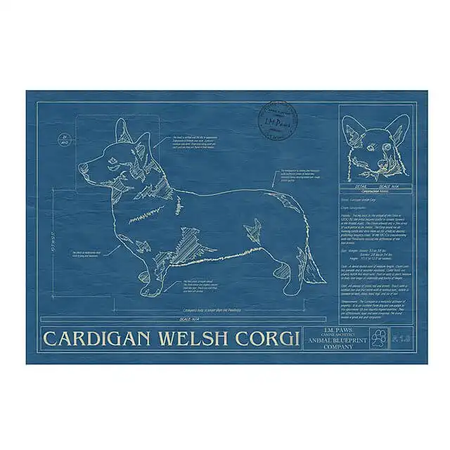 A Cardigan Welsh Corgi Blueprint