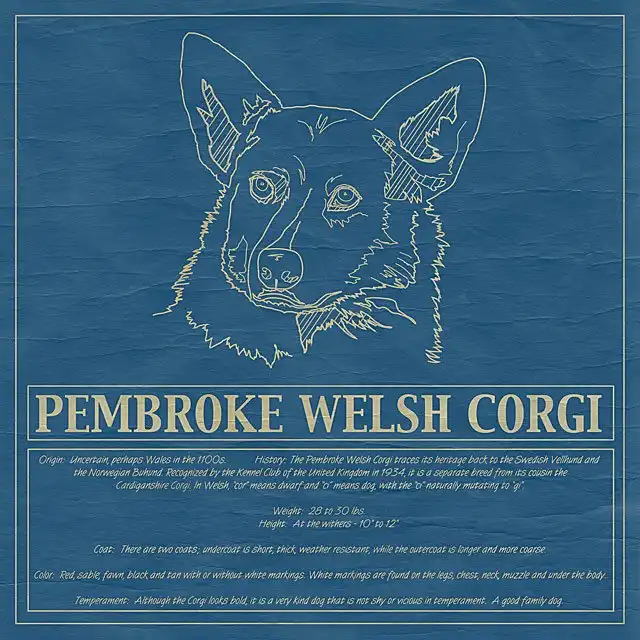 A Corgi Blueprint Pillow Cover