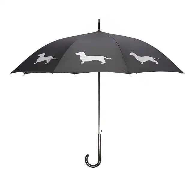 A Classic Dachshund Umbrella
