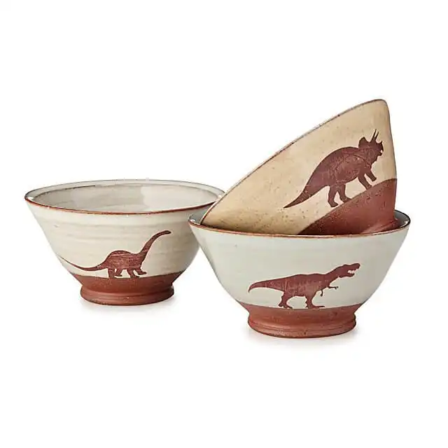 Some Dinosaur Bowls