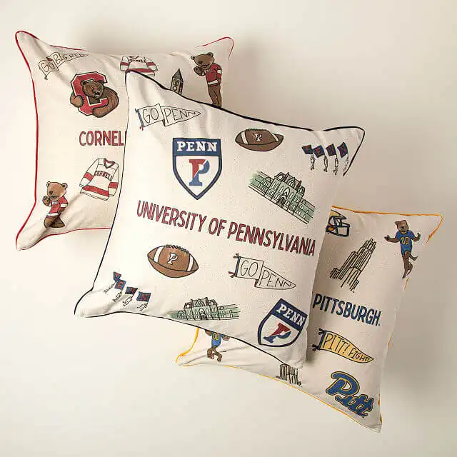 A College Team Spirit Pillow