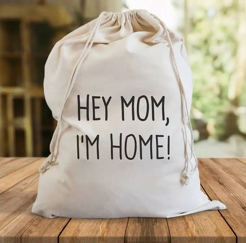 A Useful and Amusing Laundry Bag