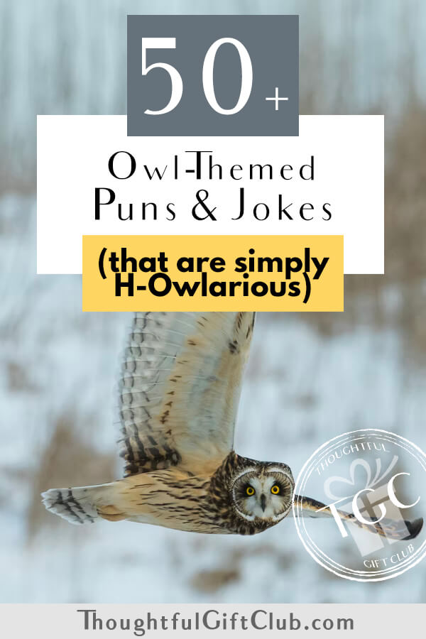 50+ Owl Puns & Jokes for Instagram Captions That Are H-Owlarious.