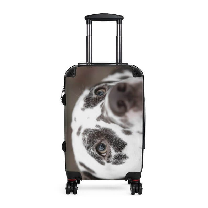 This Dalmatian Carry-On Suitcase