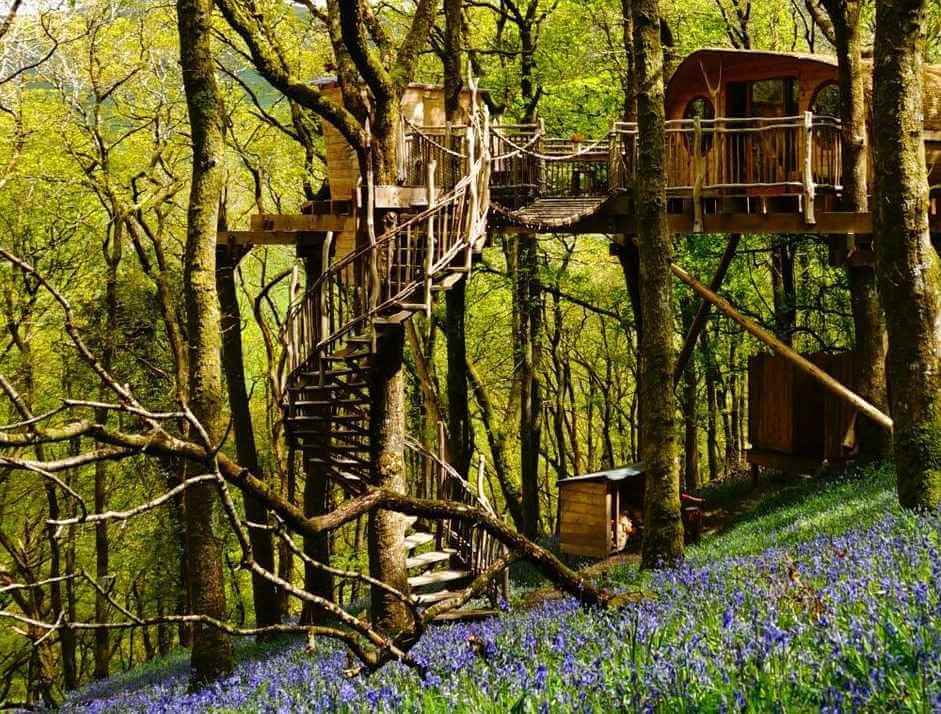 This Tree House Stay For Two