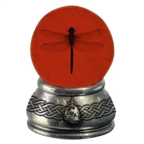 An Actual Dragonfly in Amber Paperweight