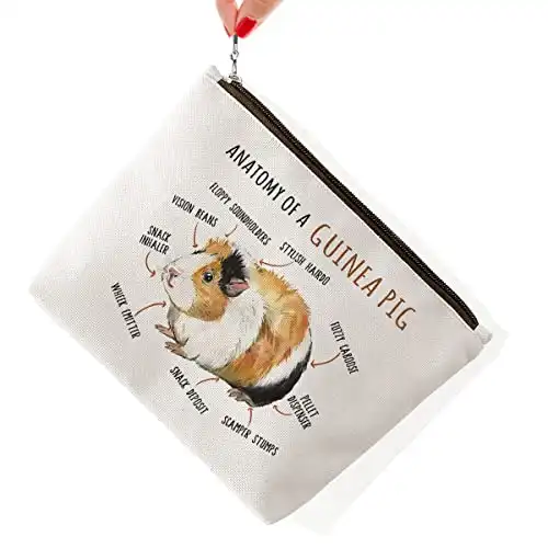 An Adorable Guinea Pig Bag