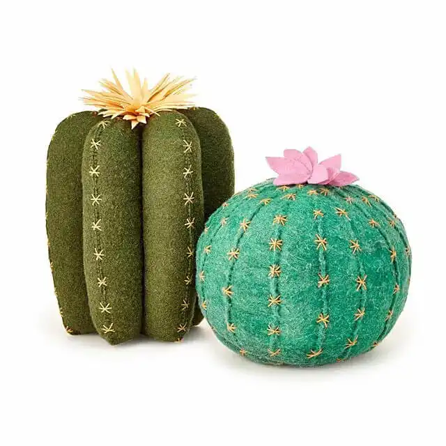 A Gorgeous Cactus Bloom Pillow