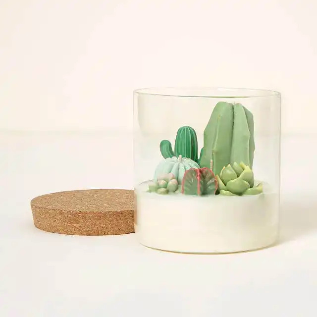 This Beautiful Cactus Terrarium Candle