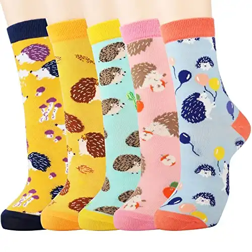 A Pack of Cute Hedgehog Socks