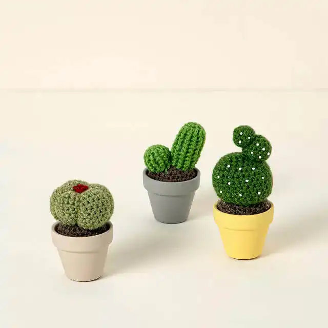 A Crochet Cactus in a Pot