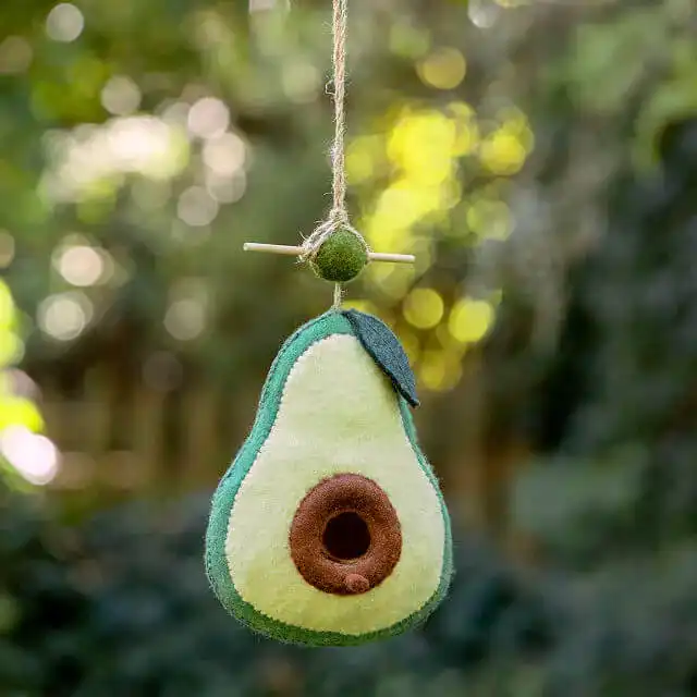 This Avocado Birdhouse