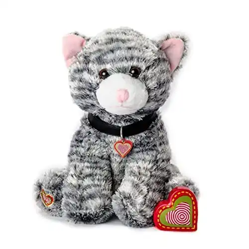 This Adorable Stuffed Animal w/ Your Own Custom Voice Box & Message
