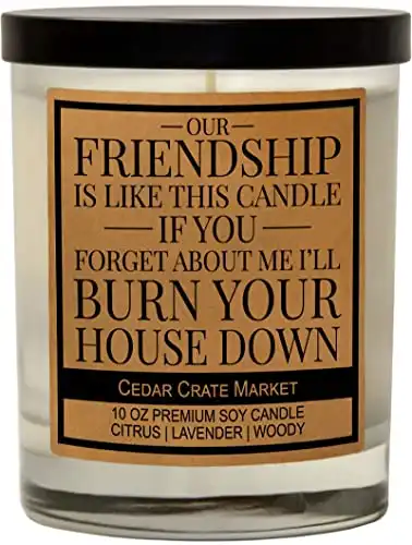 This Funny Friendship Candle